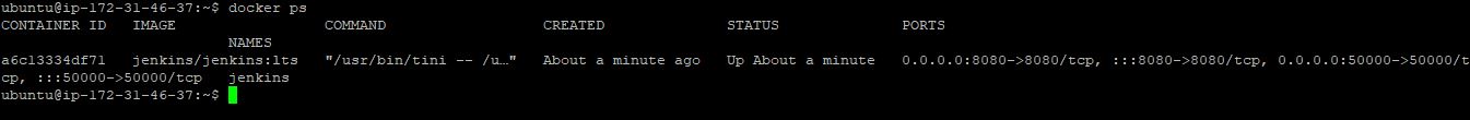 Jenkins container running confirmation