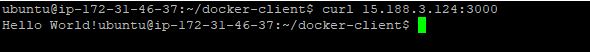 Test application with curl