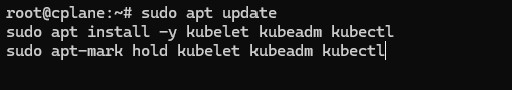 disable swap