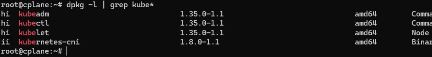 disable swap